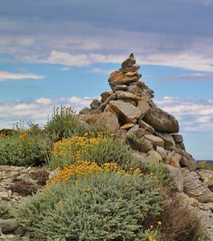 DDOS在线攻击平台